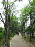 karasuyama03.jpg