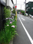 karasuyama06.jpg