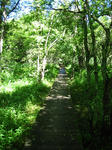 0718-0945.jpg