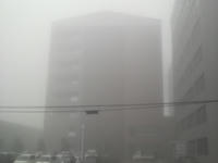 2008121009530000.jpg