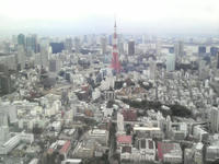 2009012411030000.jpg