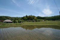 IMG_18501.JPG