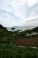 IMG_19541.JPG