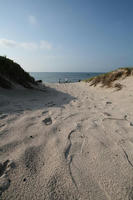 IMG_20301.JPG