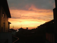 2009062419390000.jpg