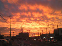 2009071519300000.jpg
