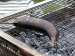 BBQ_20100328_02.jpg