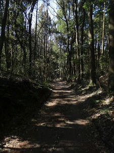 DSC06117_R.JPG