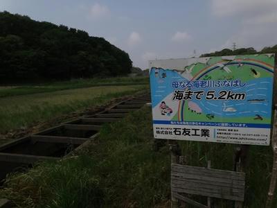 DSC06497_R.JPG