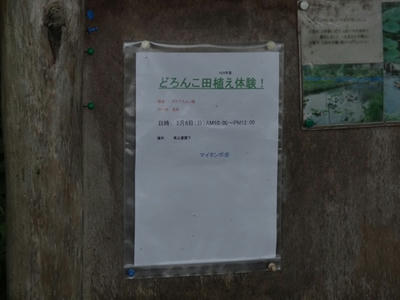 DSC06499_R.JPG