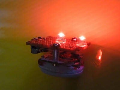 RIMG5662_R.JPG