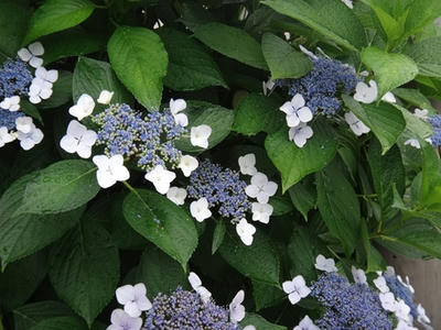 DSC06743_R.JPG