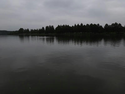 DSC07011_R.JPG