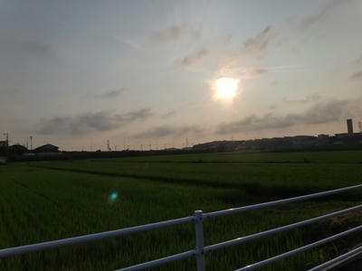 DSC07022_R.JPG