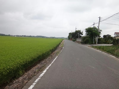 DSC00038_R.JPG