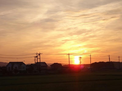 DSC00188_R.JPG
