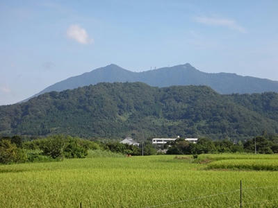 DSC00210_R.JPG