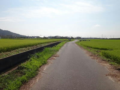 DSC00211_R.JPG