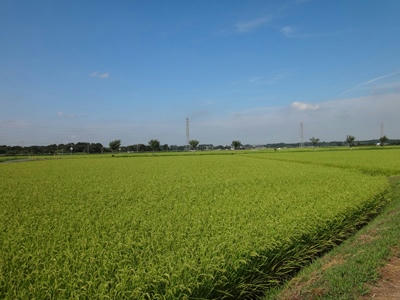 DSC00213_R.JPG