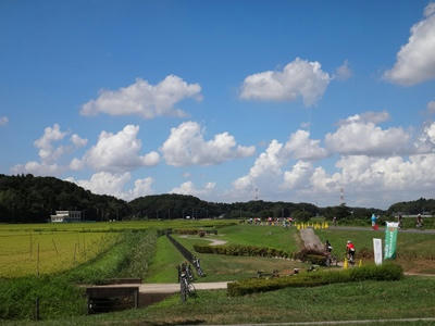 DSC00291_R.JPG