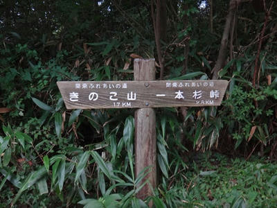 DSC00437_R.JPG