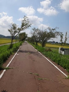 DSC00493_R.JPG