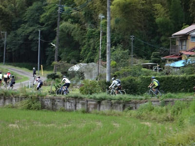 DSC00544_R.JPG