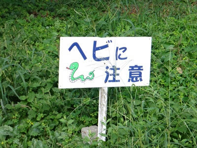 DSC00533_R.JPG