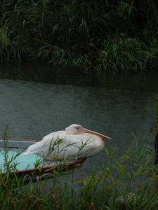 DSC_1858_R.JPG