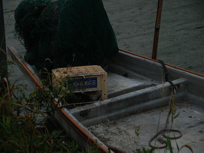 DSC_1771_R.JPG