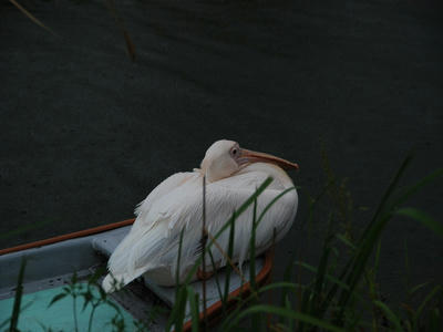 DSC_1773_R.JPG