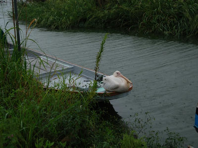 DSC_1872_R.JPG