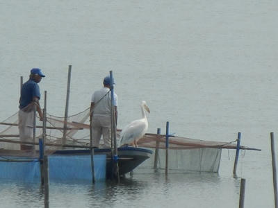 P9300078_R.JPG