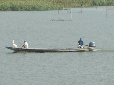 P9300106_R.JPG