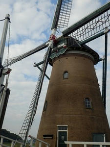 P9300049_R.JPG