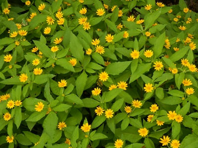 P9300061_R.JPG