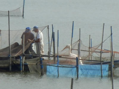 P9300092_R.JPG