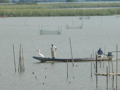 P9300104_R.JPG