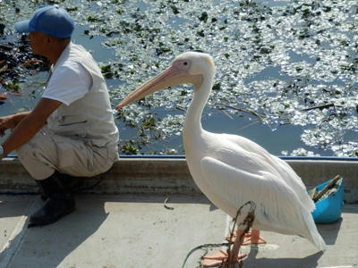 P9300113_R.JPG
