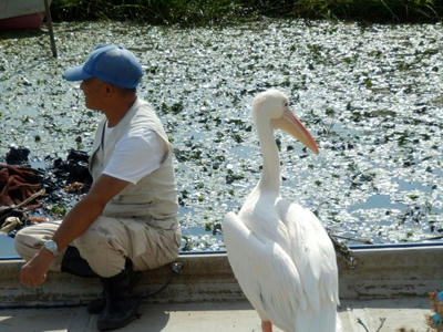 P9300160_R.JPG