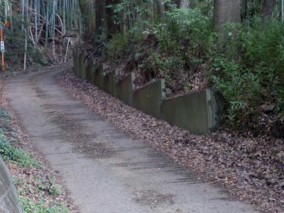 P9300202_R.JPG