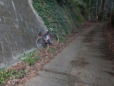P9300195_R.JPG