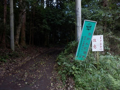 P9300210_R.JPG