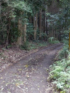 P9300211_R.JPG