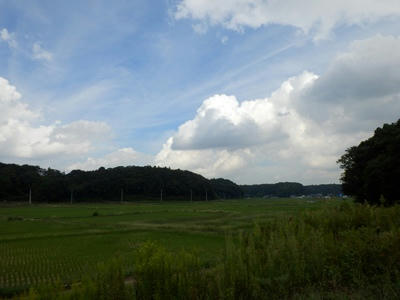 P9300220_R.JPG