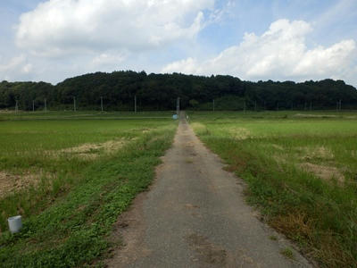 P9300221_R.JPG