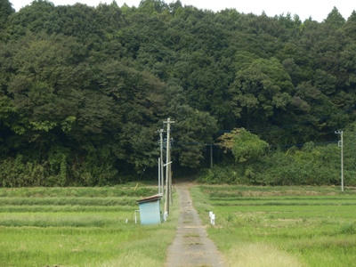 P9300223_R.JPG