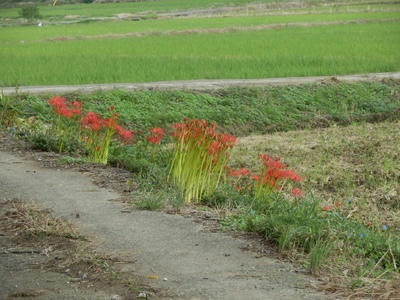 P9300227_R.JPG