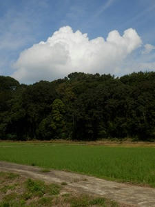 P9300246_R.JPG