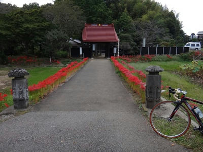DSC00787_R.JPG